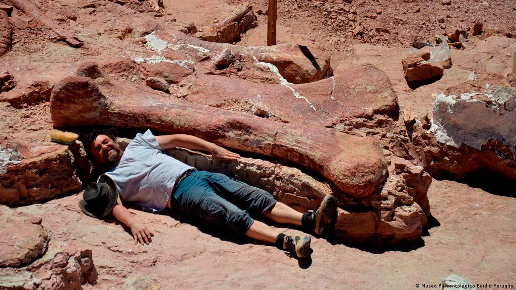 Encontrados na Argentina fósseis de maior dinossauro de todos os tempos |  Novidades da ciência para melhorar a qualidade de vida | DW | 17.05.2014