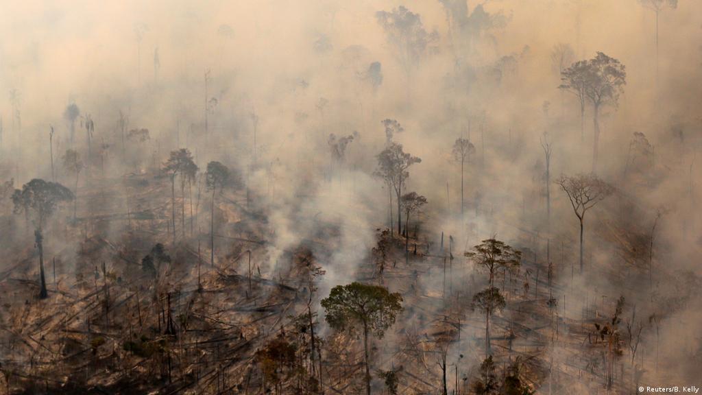 لهذه الأسباب غابات الأمازون مهمة جدا للعالم كله سياسة