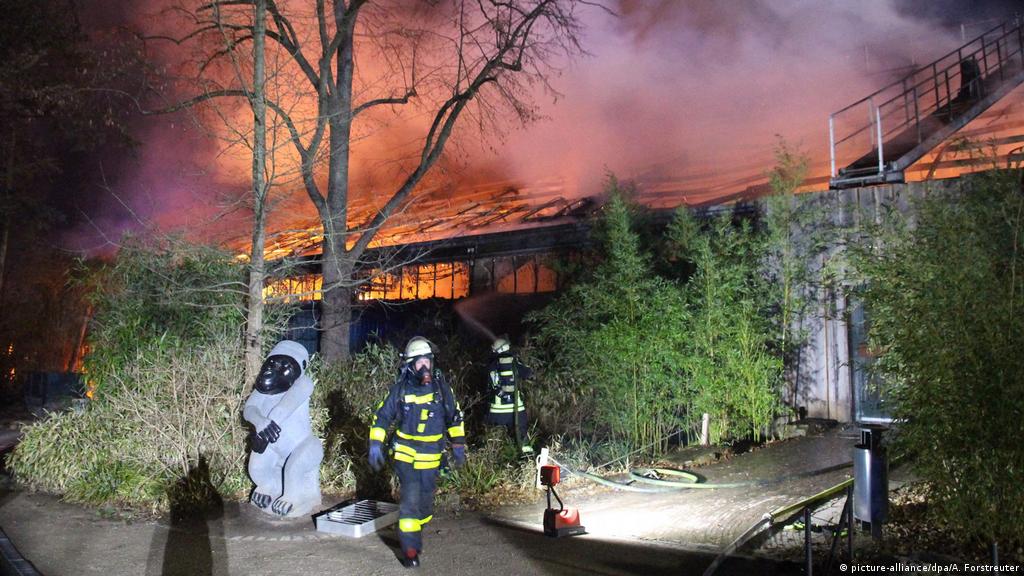 German Police Investigate Three Suspects After Krefeld Zoo Fire