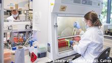 Muestras de los ensayos clínicos de la vacuna de la Universidad de Oxford se manejan dentro del laboratorio del Oxford Vaccine Group, en Oxford, Inglaterra (25.06.2020)